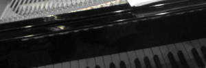 IMG_2525-cropped